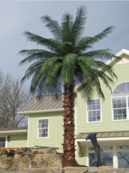 Artificial Outdoor Palm Trees Custom Tropical Fake Palms Phoenix